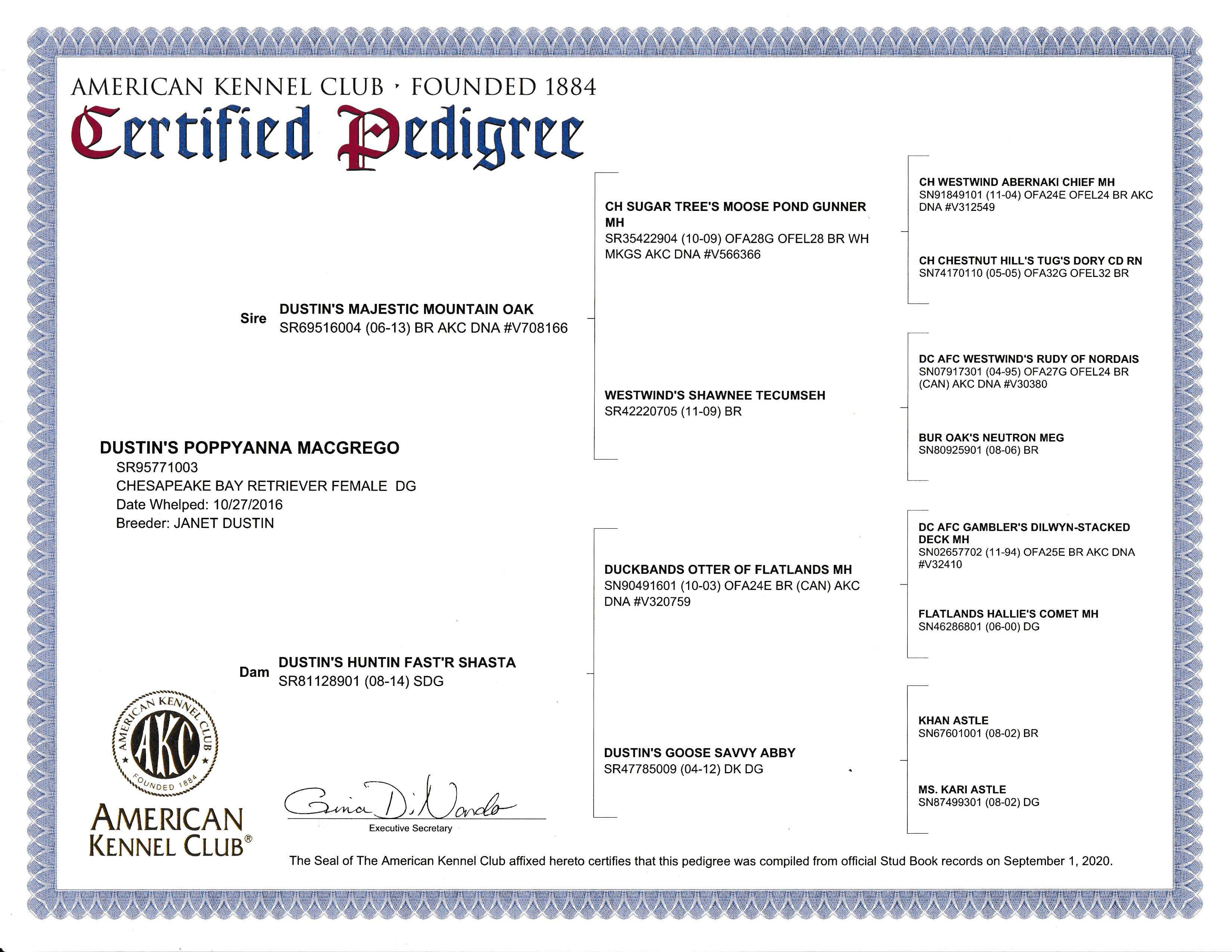 Top quality hunting dogs. Ask about our health guarantee.